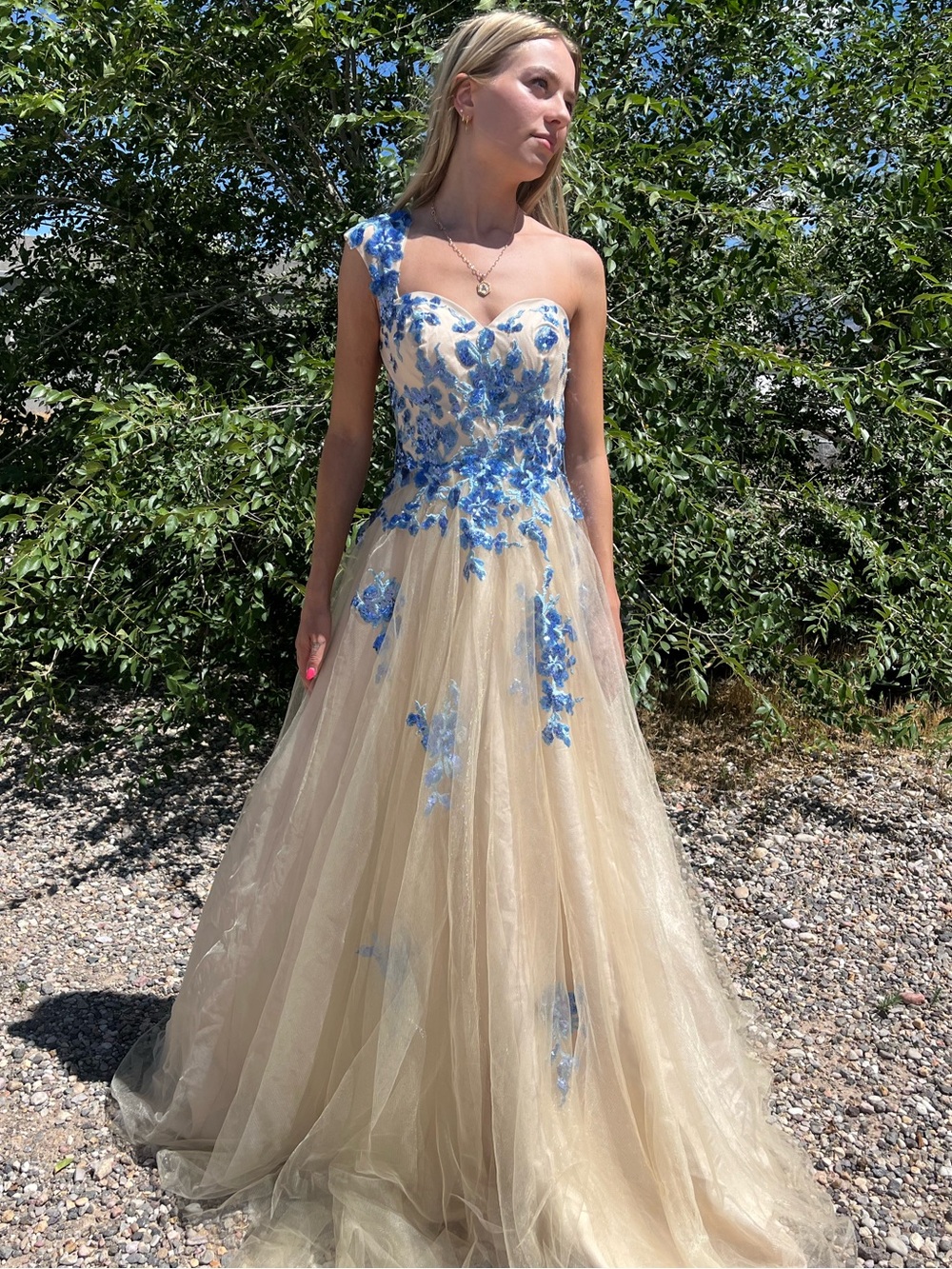 Brit Cameron Champagne Tulle Gown with Blue Floral Appliqué